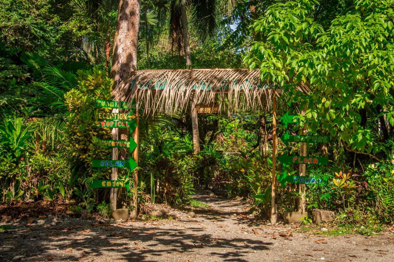 La Palapa Hut Nature Hostel Puerto Jimenez Exterior photo