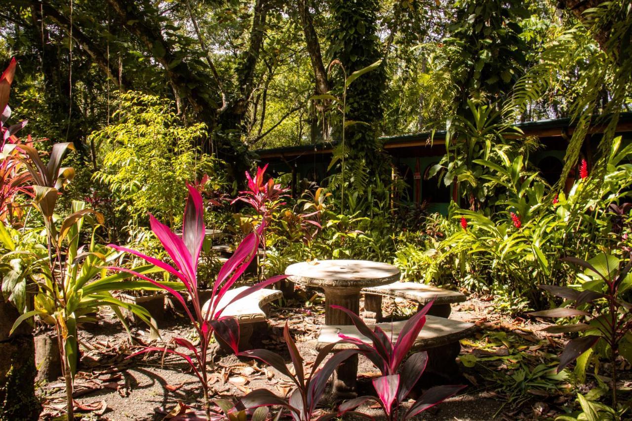 La Palapa Hut Nature Hostel Puerto Jimenez Exterior photo